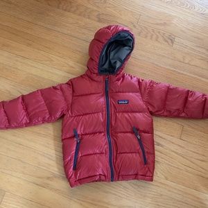 Patagonia Hi-Loft Down Sweater Hoody